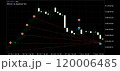 仮想通貨FX(ビットコイン)のトレード履歴チャート 120006485