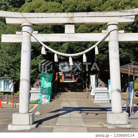金ヶ作熊野神社鳥居　熊野神社　松戸市金ヶ作　初詣、七五三、厄除、健康、合格、安産、初宮、商売繫盛 120009114