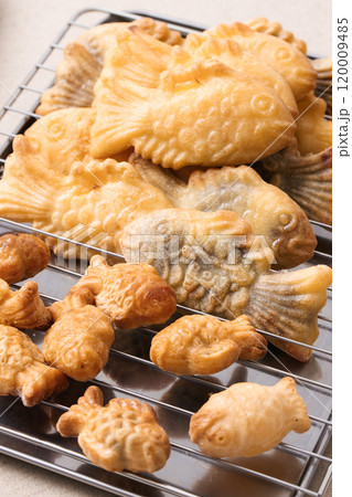 Golden brown baked bungeoppang and mini bungeoppang 120009485