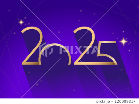 Luxurious 2025 New Year illustration 120009817