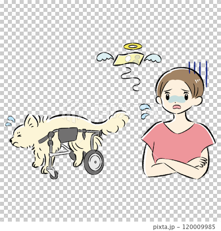 一隻坐在狗輪椅上的狗和一位憂心忡忡的女主人的插圖集 一隻坐在狗輪椅上的狗和一位憂心忡忡的女主人的插圖集 120009985