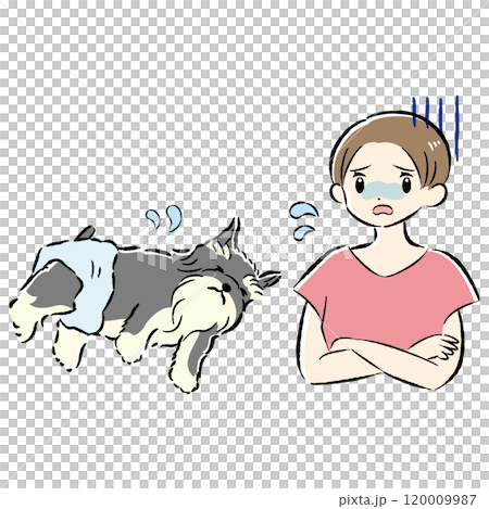Illustration set of a dog in a diaper and a worried female owner 120009987