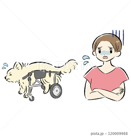 犬用車いすを付けた犬と心配する飼い主の女性のイラストセット 120009988
