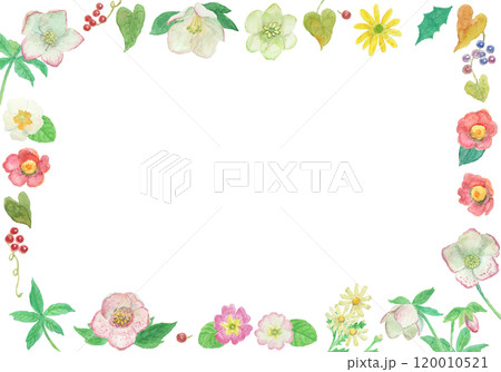 水彩絵の具で描いた冬の花フレーム 120010521