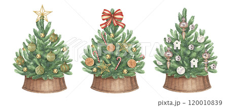 Decorated Christmas tree set in wicker basket in rustic style. Hand drawn watercolor winter holiday illustration. Isolated drawing for Xmas graphic and tradition greeting card designs. Decorated Christmas tree set in wicker basket in rustic style. Hand drawn watercolor winter holiday illustration. Isolated drawing for Xmas graphic and tradition greeting card designs. 120010839