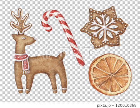 Reindeer and snowflake gingerbread set of Christmas cookies. Hand drawn watercolor winter illustration of candy cane and orange. Isolated drawing for Xmas graphic and tradition card designs. 120010869
