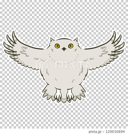 Shimous owl Shimous owl 120010894