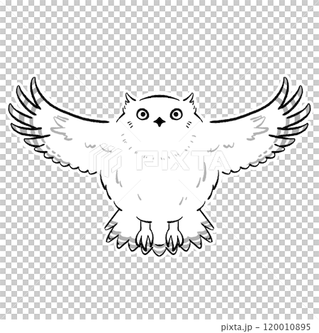 魚貓頭鷹單聲道 120010895