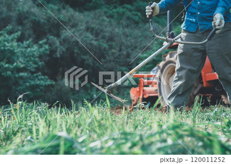 畑の草刈り 120011252