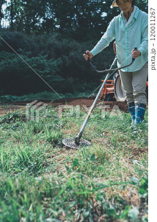 畑周りの雑草を刈払機で刈る女性 120011267