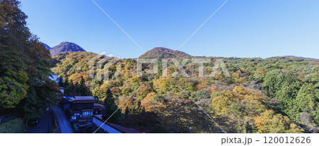 伊香保温泉　伊香保神社　景色　紅葉 120012626