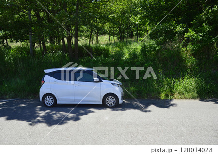 軽自動車　木陰へ駐車 120014028