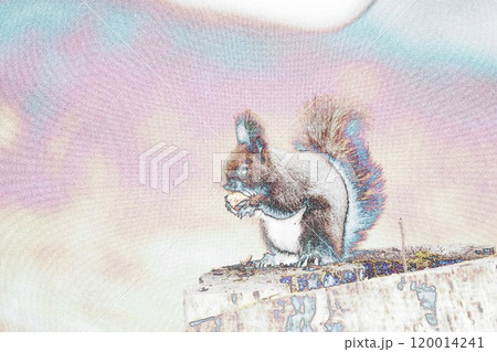 パステル調 ”エゾリス ”野生動物”” イラストイメージ パステル調 ”エゾリス ”野生動物”” イラストイメージ 120014241