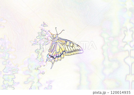 パステル調　”キアゲハ　”昆虫””　イラストイメージ 120014935