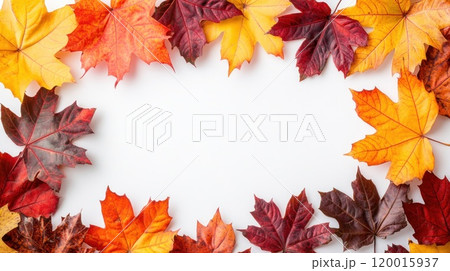 A frame of autumn leaves with a white background A frame of autumn leaves with a white background 120015937