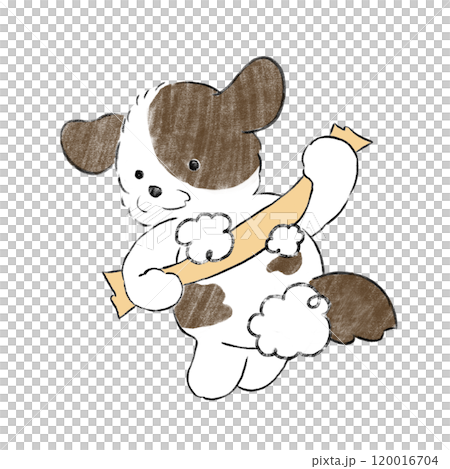 体を洗う犬 120016704