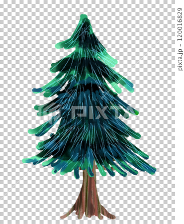 Trees like those in picture books: Conifers Trees like those in picture books: Conifers 120016829