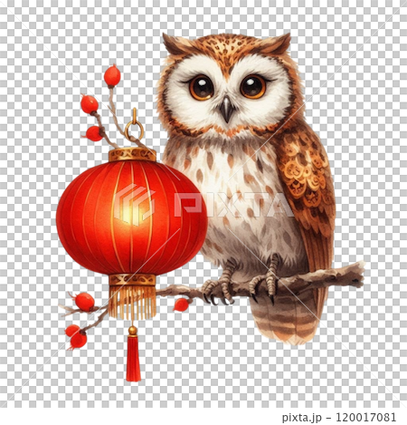 Cute animals holding Chinese lanterns Cute animals holding Chinese lanterns 120017081