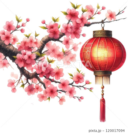 Chinese lanterns with cherry blossoms 120017094