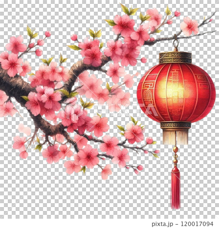 Chinese lanterns with cherry blossoms 120017094