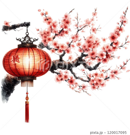 Chinese lanterns with cherry blossoms Chinese lanterns with cherry blossoms 120017095