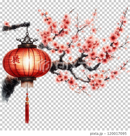 Chinese lanterns with cherry blossoms Chinese lanterns with cherry blossoms 120017095