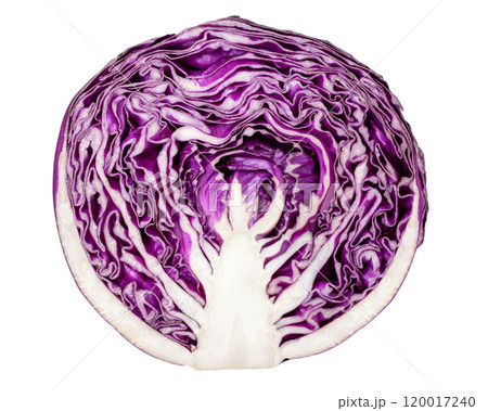 半分にカットした紫キャベツ 120017240