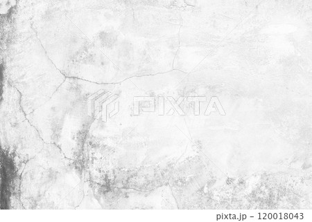 White Grunge Wall for Background. 120018043