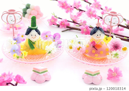 かわいいおひな祭り おひな様おにぎり お雛人形おにぎり かわいいおひな祭り おひな様おにぎり お雛人形おにぎり 120018314