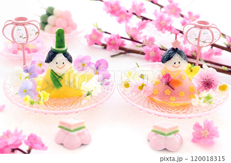 かわいいおひな祭り　おひな様おにぎり　お雛人形おにぎり 120018315