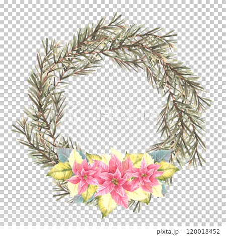Christmas spruce branches evergreen advent wreath with red poinsettia flowers and burning white candle. Watercolor hand drawn illustration Circle template for festive card. Isolated from background. 120018452