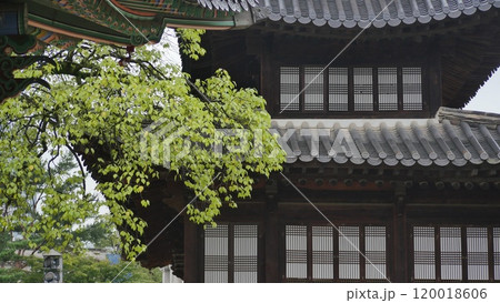 korea ancient palace 120018606