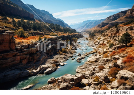 River and canyon, looking from top to bottom - bird's eye view 120019602