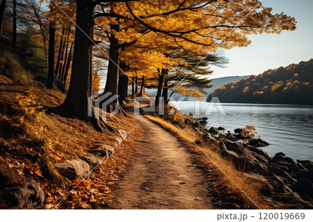 Autumn forest with road and river near the road. 120019669