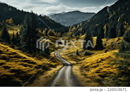 A dirt road in the forest with a mountain horizon. 120019671