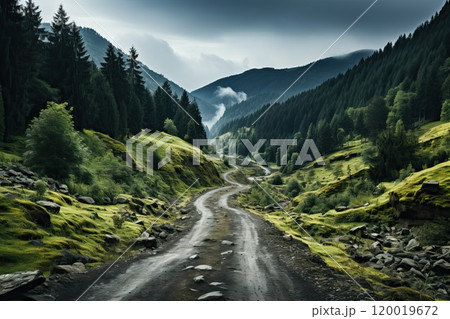 A dirt road in the forest with a mountain horizon. 120019672
