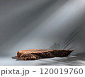 Beautiful wooden snag, cylindrical birch slab on a gray background with sunlight Podium. 120019760