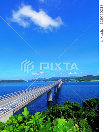 角島より望む角島大橋(山口県下関市) 角島より望む角島大橋(山口県下関市) 120020238