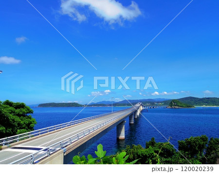 角島より望む角島大橋(山口県下関市) 角島より望む角島大橋(山口県下関市) 120020239
