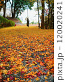 紅葉で覆われた道にたたずむ女性 120020241