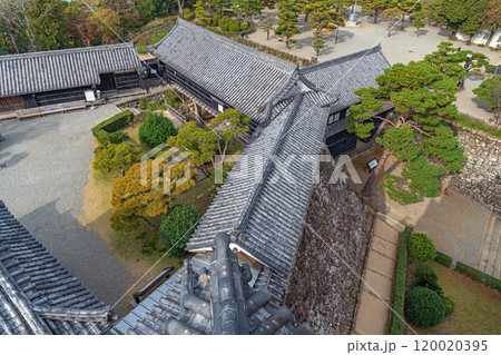 高知城 天守より本丸と城内を望む 120020395