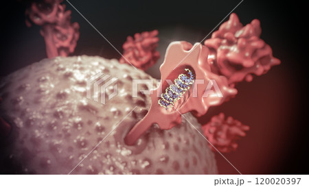 3D Rendering of mRNA Vaccine Interaction with Virus 3D Rendering of mRNA Vaccine Interaction with Virus 120020397