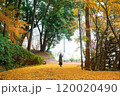 紅葉で覆われた道にたたずむ女性 120020490