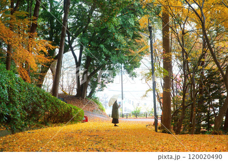 紅葉で覆われた道にたたずむ女性 120020490