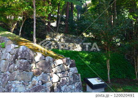 安土城跡　伝前田利家邸跡 120020491