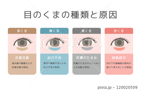 目のクマの種類イラストセット 120020509