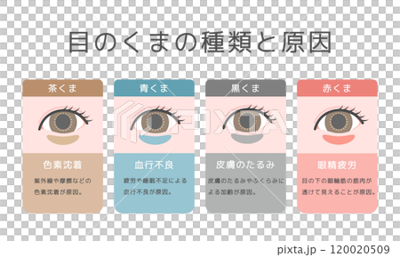目のクマの種類イラストセット 120020509