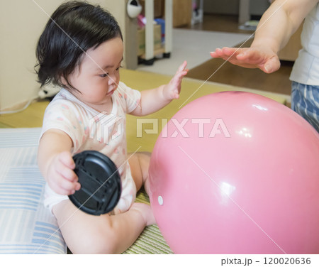 【カメラキャップで遊ぶ赤ちゃん】 【カメラキャップで遊ぶ赤ちゃん】 120020636