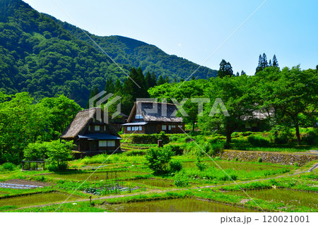 初夏　五箇山　相倉合掌集落 120021001
