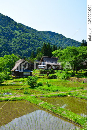初夏 五箇山 相倉合掌集落 初夏 五箇山 相倉合掌集落 120021064
